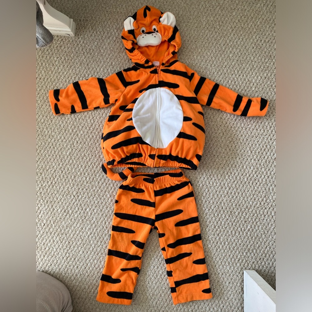 Halloween costume 18M